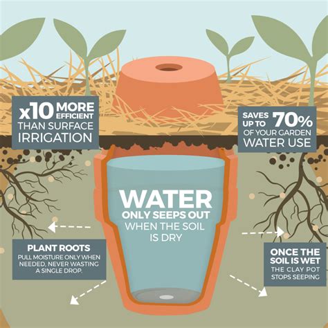 soil moisture in pots